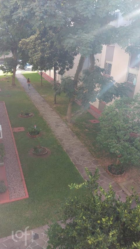 Image 7 - 248496